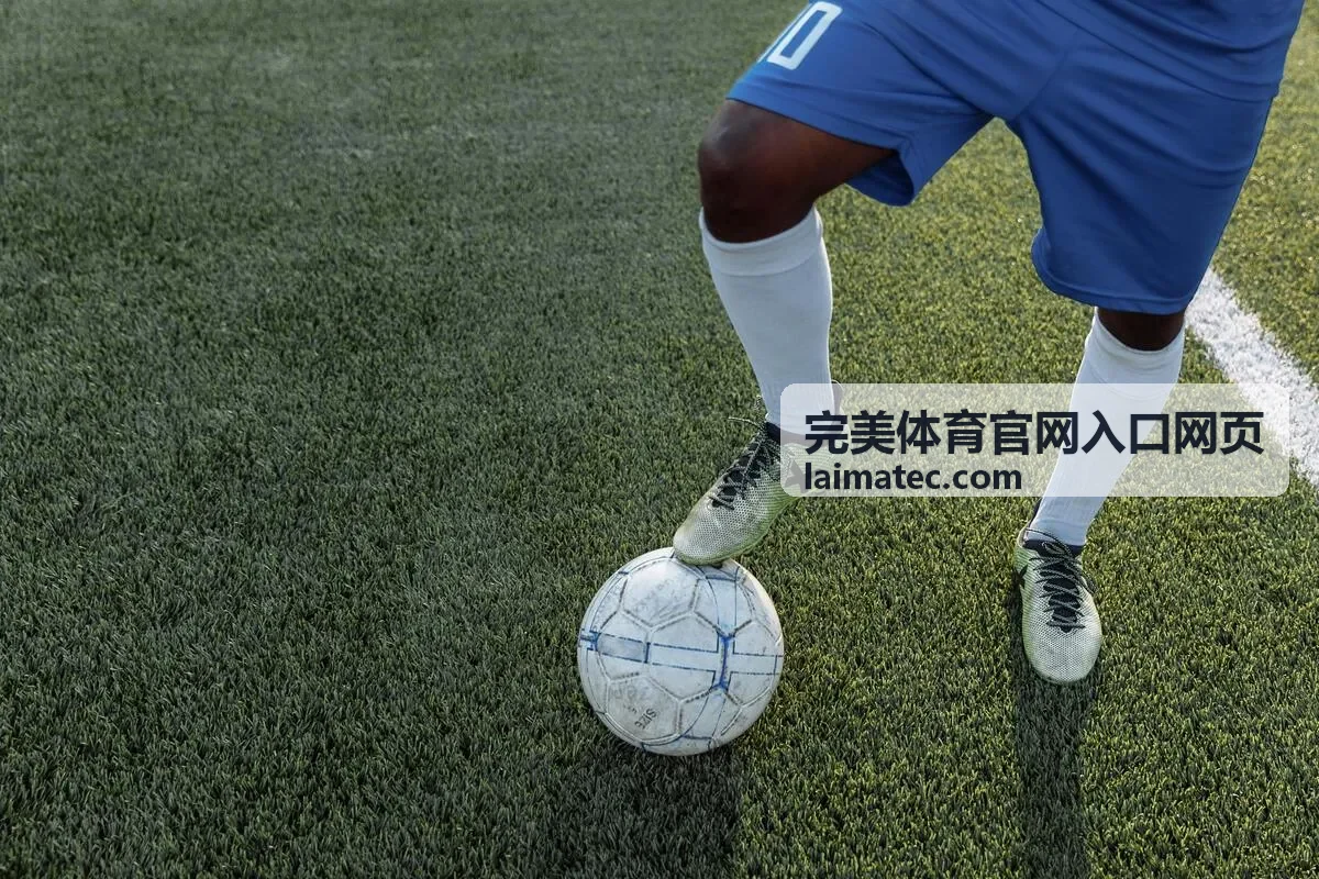完美体育官网入口网页的验证环节示意界面