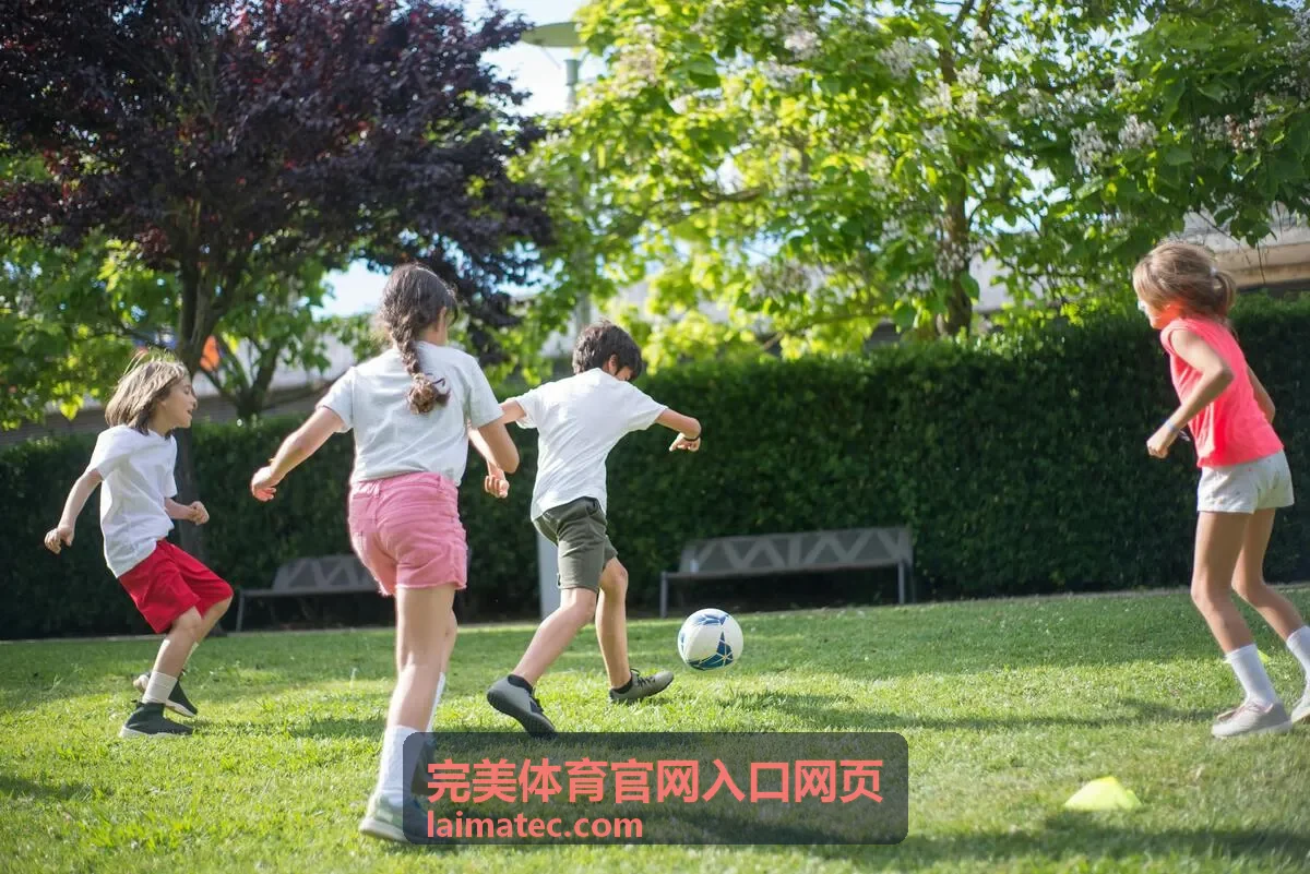 完美体育官网入口网页赛程中心与实时数据面板界面示意