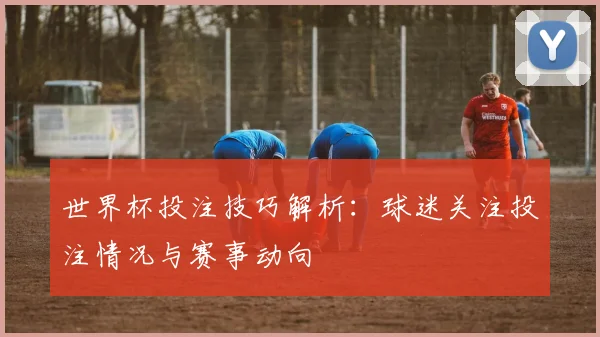 世界杯投注技巧解析:球迷关注投注情况与赛事动向